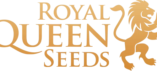 Royal Queen Seeds: Cultivating Excellence in the Cannabis Industry
